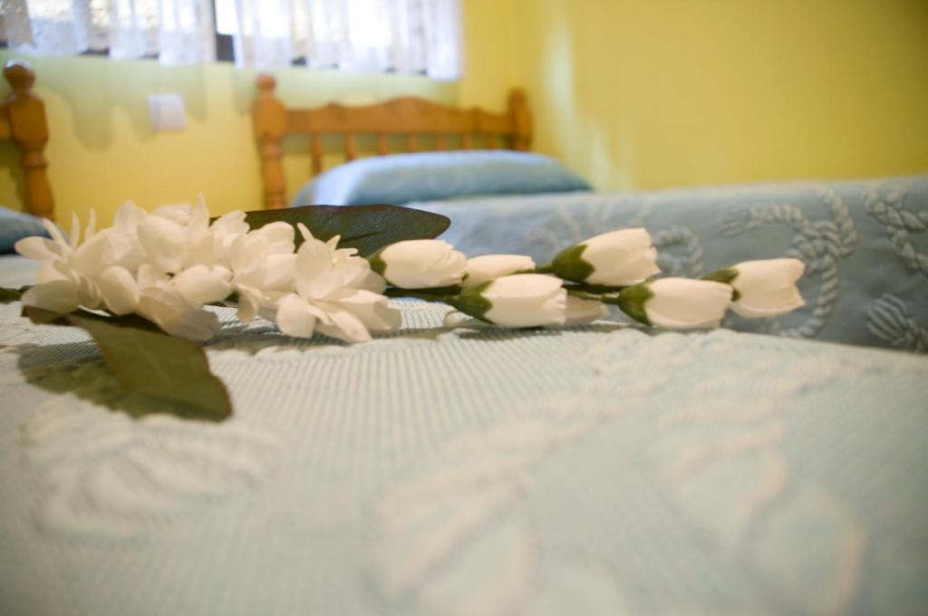 Pension Aries II เกว็งกา ห้อง รูปภาพ